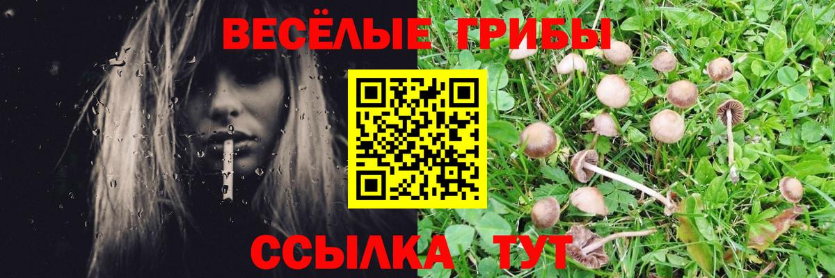Галлюциногенные грибы GOLDEN TEACHER  Галлюциногенные грибы GOLDEN TEACHER  где продают   Вход с VPN  Нефтеюганск 